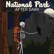 National Park After Dark